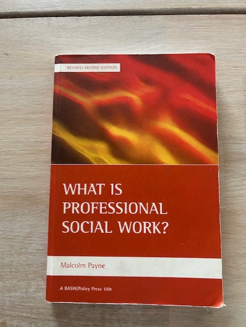 What is professional social work? (Upplaga 2)