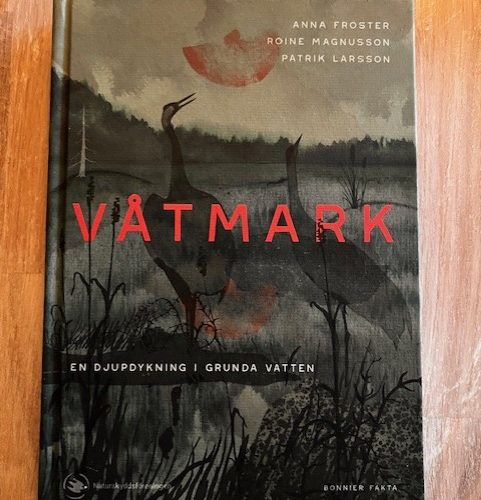 Våtmark : en djupdykning i grunda vatten (Upplaga 1)
