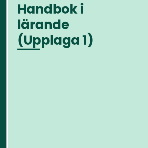 handbok-i-larande Handbok i lärande (Upplaga 1)