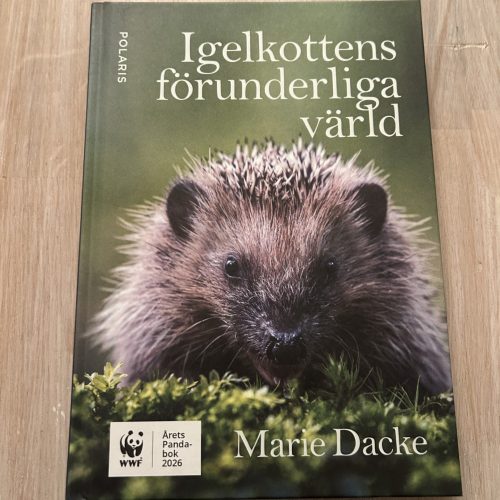 Igelkottens förunderliga värld