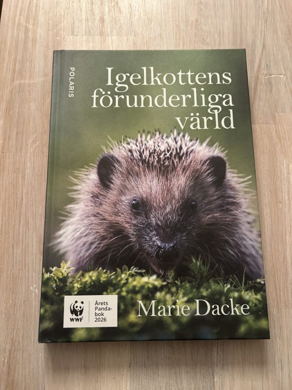 3e269c6d-7c09-498e-9d0b-ccbab3e2365b Igelkottens förunderliga värld
