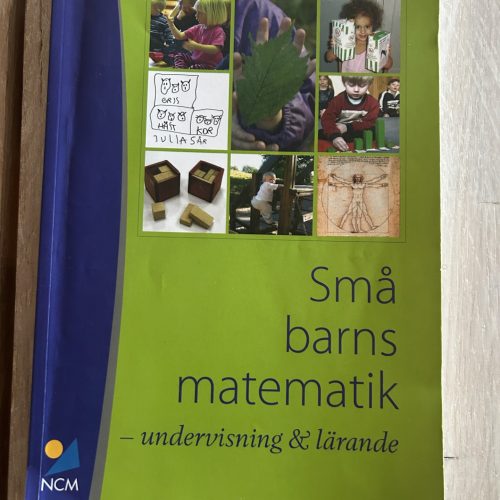 Små barns matematik - undervisning och lärande (Upplaga 2)