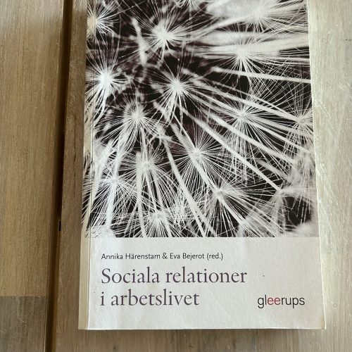 IMG_0018 Sociala relationer i arbetslivet (Upplaga 1)