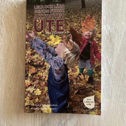 IMG_0032 - kopia Leka och lära genom fysisk aktivitet ute (Upplaga 1)