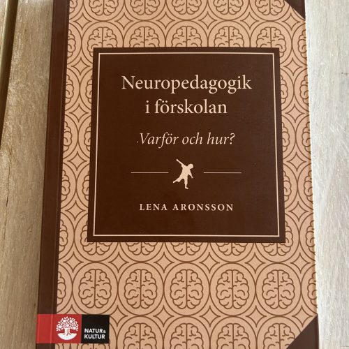 IMG_0033 - kopia Neuropedagogik i förskolan : - varför och hur? (Upplaga 1)