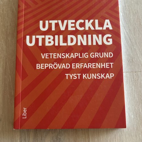 Utveckla utbildning : vetenskaplig grund, beprövad erfarenhet, tyst kunskap (Upplaga 1)