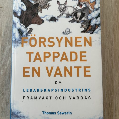 IMG_0096 Försynen tappade en vante : ledarskapsindustrins framväxt och vardag (Upplaga 1)