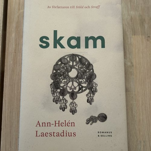 IMG_0317 Skam